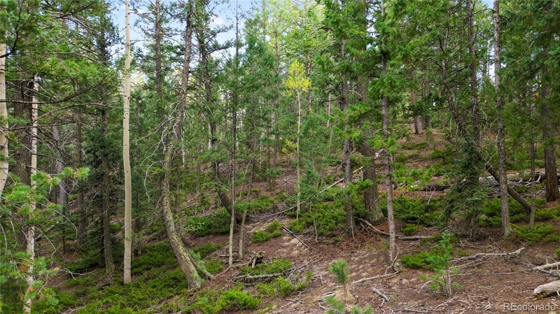 68 Yale Pl, Woodland Park, CO 80863