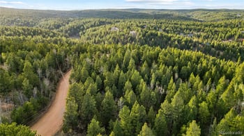 68 Yale Pl, Woodland Park, CO 80863