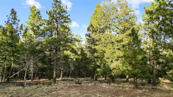 68 Yale Pl, Woodland Park, CO 80863