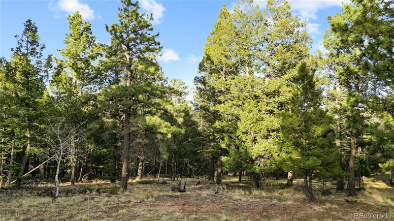 68 Yale Pl, Woodland Park, CO 80863