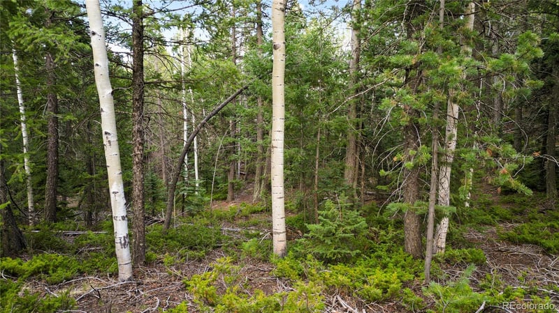 68 Yale Pl, Woodland Park, CO 80863