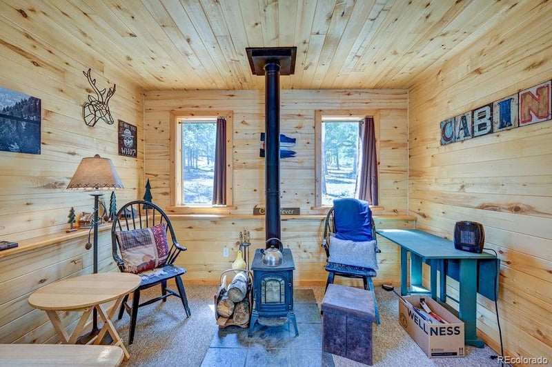 30433 National Forest Dr, Buena Vista, CO 81211