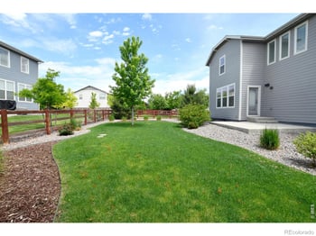 2124 Glean Ct, Windsor, CO 80550