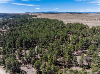 22555 County Road 49, Elbert, CO 80106