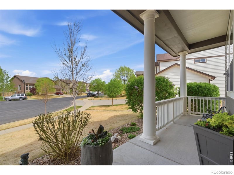 5406 Carriage Hill Ct, Timnath, CO 80547