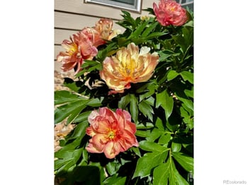 8330 Garland Dr, Arvada, CO 80005