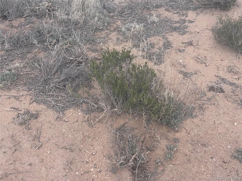 Delaware Trl, San Luis, CO 81152