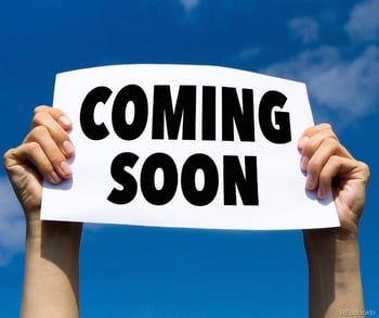 93 Placer Dr, Alma, CO 80420