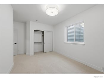 8 Blue Fortune Ct, Windsor, CO 80550
