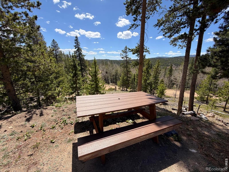 726 Micmac Dr, Red Feather Lakes, CO 80545