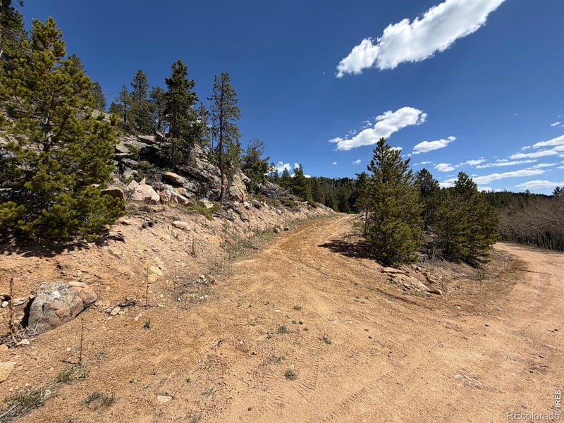 726 Micmac Dr, Red Feather Lakes, CO 80545