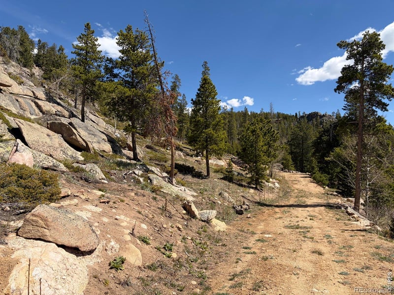 726 Micmac Dr, Red Feather Lakes, CO 80545