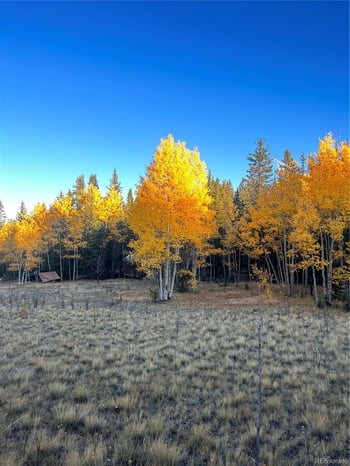 509 Tepee Trl, Como, CO 80432