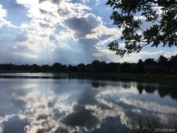 8198 81st Dr, Arvada, CO 80005