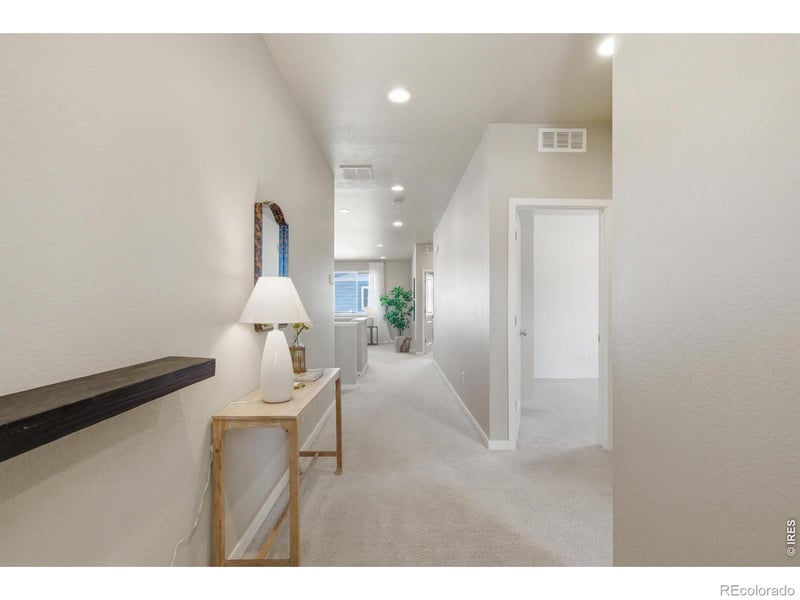 3928 River Birch St, Wellington, CO 80549