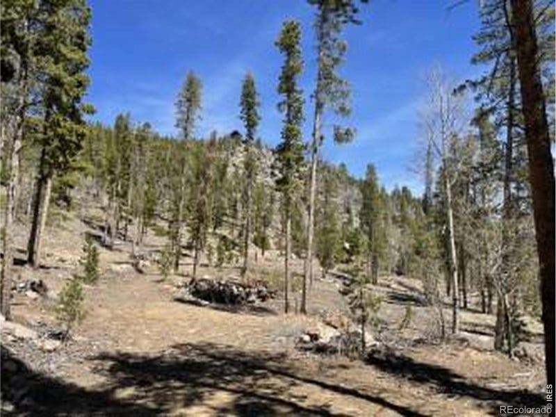 1374 Jicarilla Trl, Red Feather Lakes, CO 80545