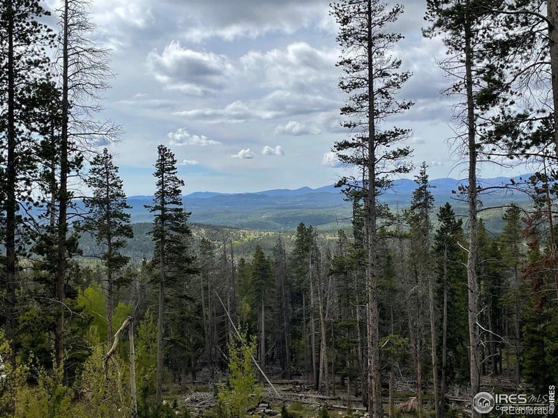 1374 Jicarilla Trl, Red Feather Lakes, CO 80545