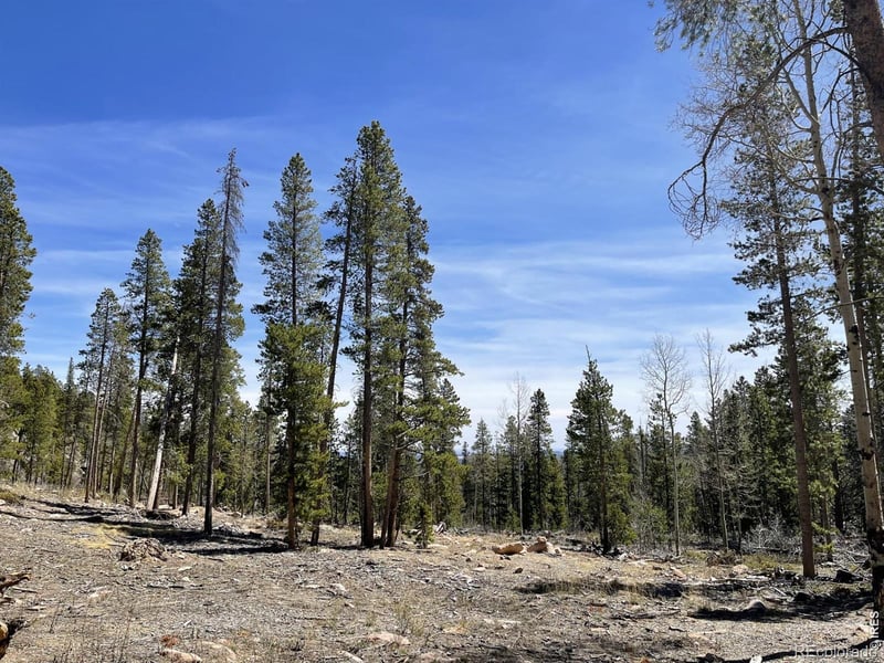 1374 Jicarilla Trl, Red Feather Lakes, CO 80545