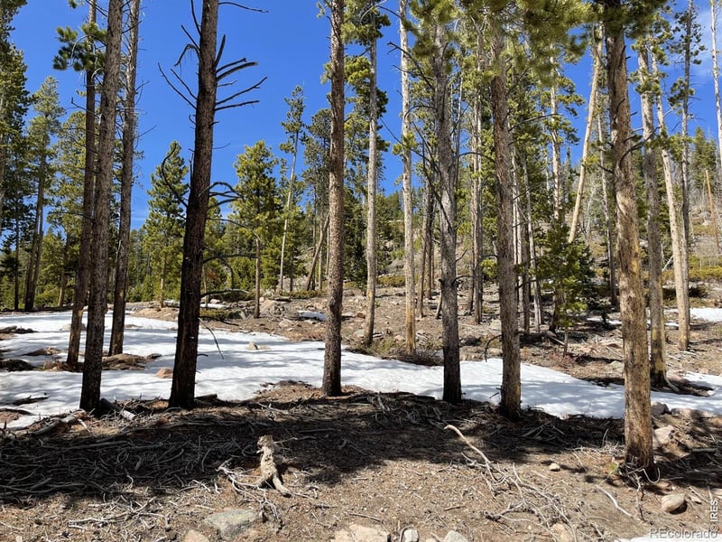 1374 Jicarilla Trl, Red Feather Lakes, CO 80545