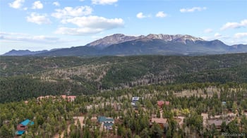 526 Wakanda Trl, Woodland Park, CO 80863