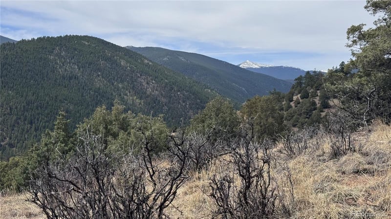 257 Wildlife Trl, Idaho Springs, CO 80453