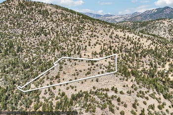 257 Wildlife Trl, Idaho Springs, CO 80453