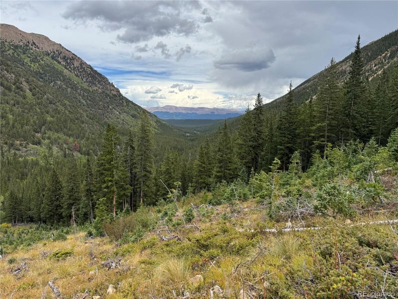 18462 Bowman , Buena Vista, CO 81211