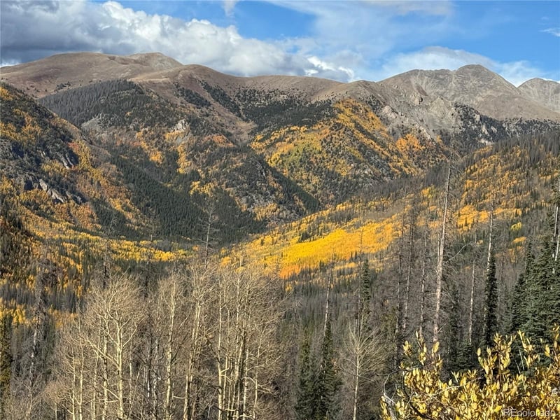18462 Bowman , Buena Vista, CO 81211