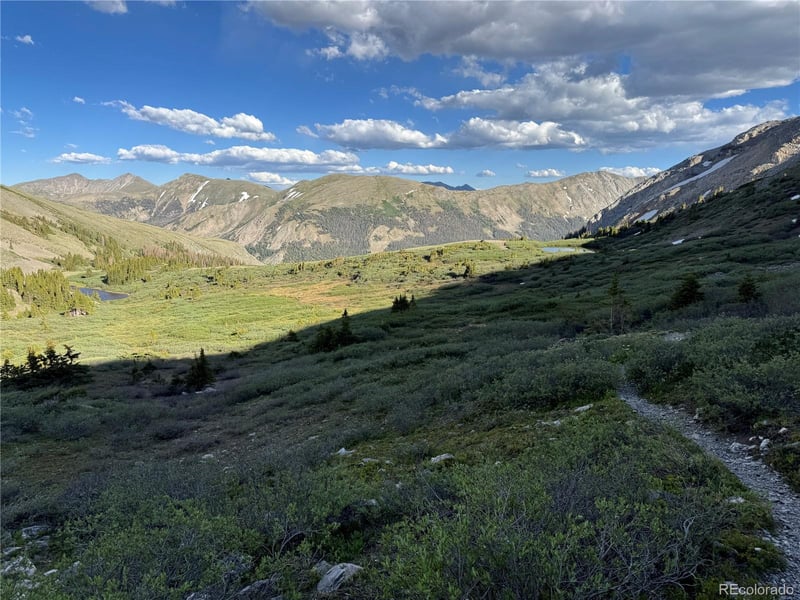 18462 Bowman , Buena Vista, CO 81211