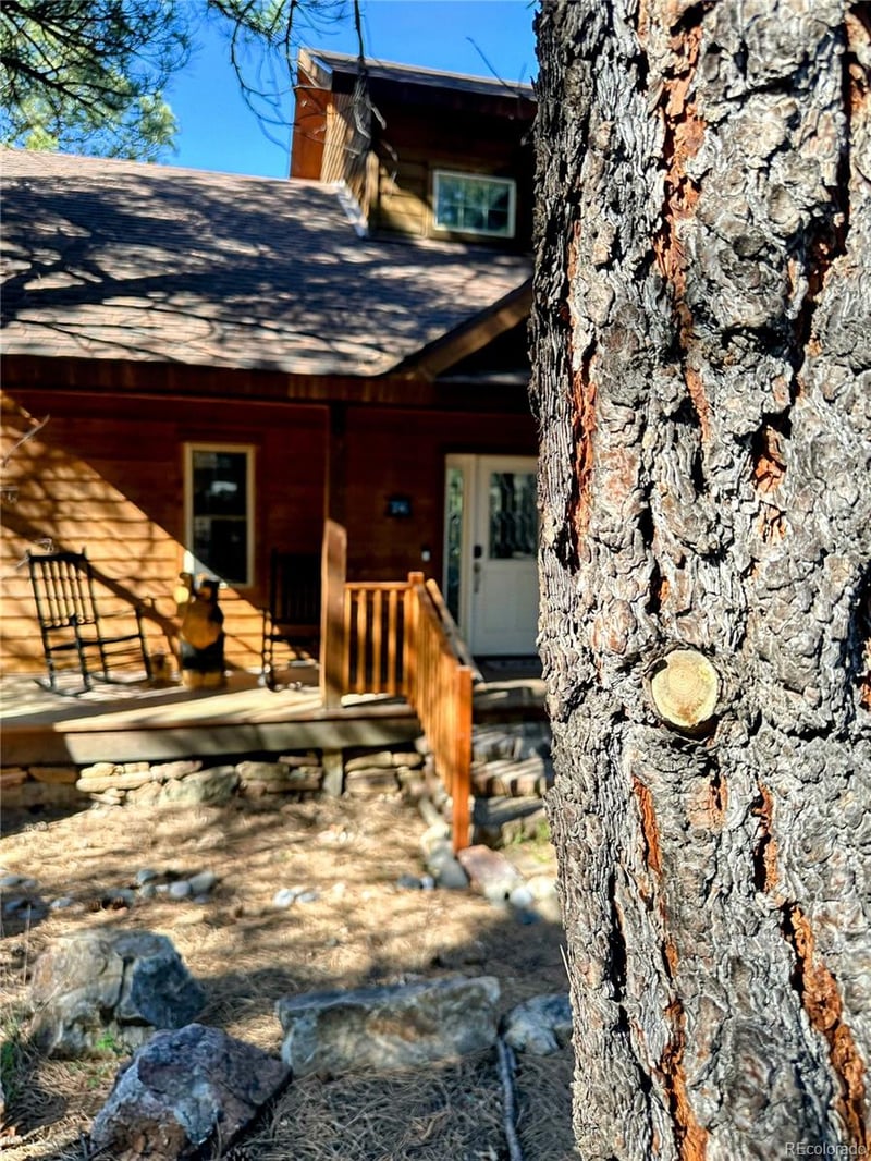 62 Masters Cir, Pagosa Springs, CO 81147