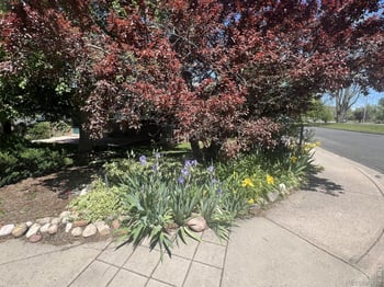 700 33rd St, Boulder, CO 80303