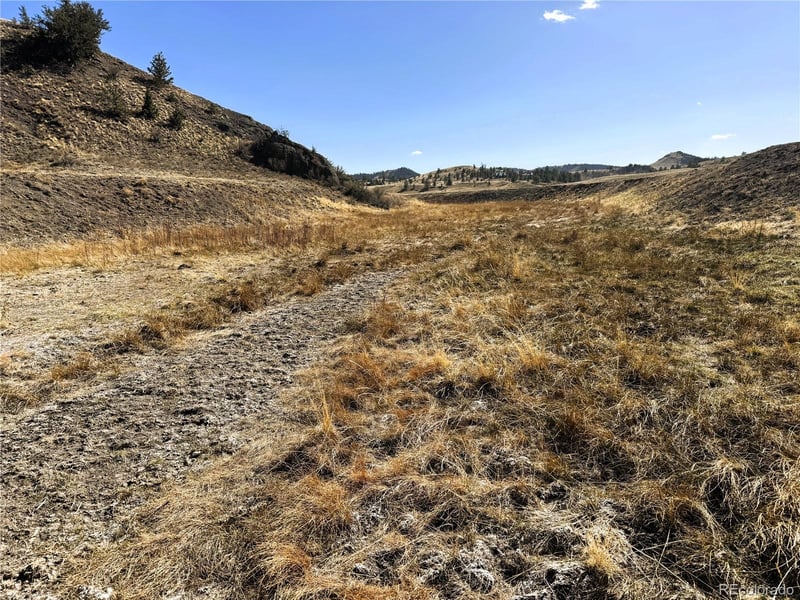 Lot 07 Cahokia Rd Lot 07, Hartsel, CO 80449