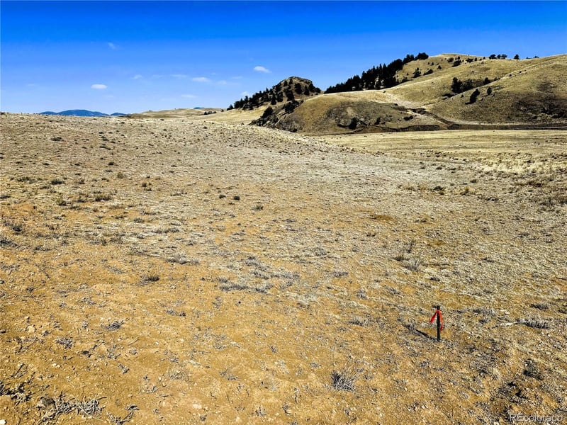 Lot 07 Cahokia Rd Lot 07, Hartsel, CO 80449