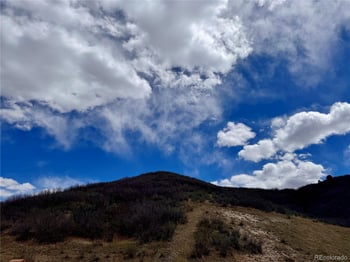 1501 Live Oak Rd, Castle Rock, CO 80104