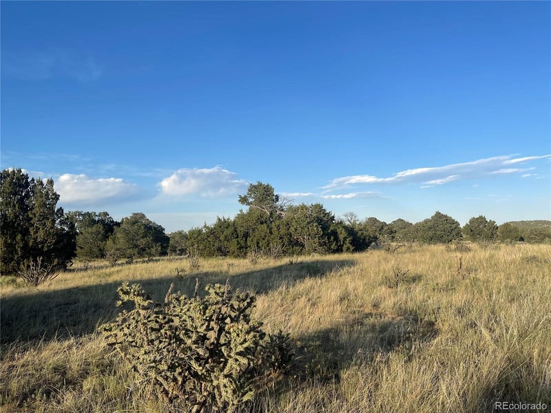 Lot 10 Blk7 Orlando's Way, Walsenburg, CO 81089
