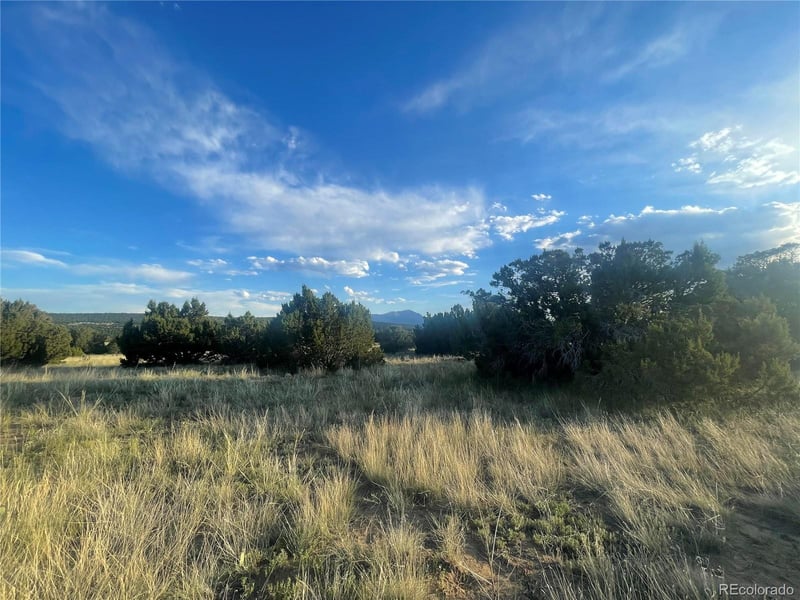 Lot 10 Blk7 Orlando's Way, Walsenburg, CO 81089