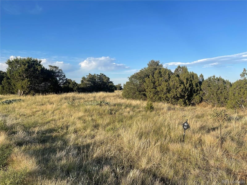 Lot 10 Blk7 Orlando's Way, Walsenburg, CO 81089