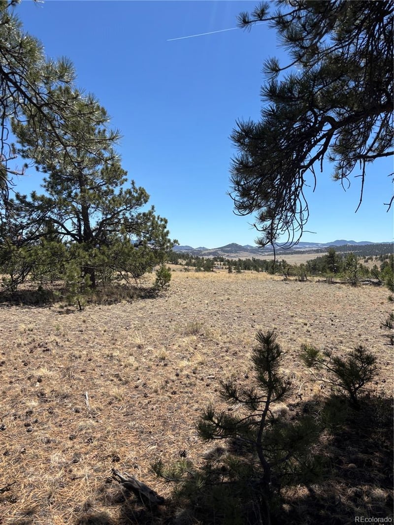 Hiawatha Cir, Hartsel, CO 80449