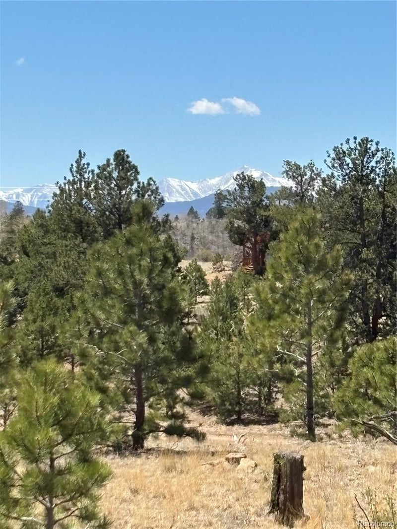 Hiawatha Cir, Hartsel, CO 80449