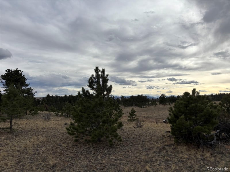 Hiawatha Cir, Hartsel, CO 80449