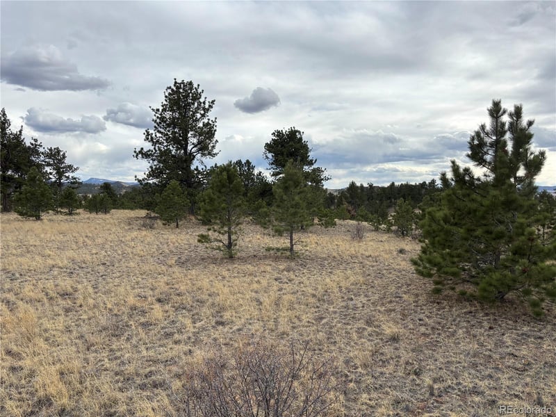 Hiawatha Cir, Hartsel, CO 80449