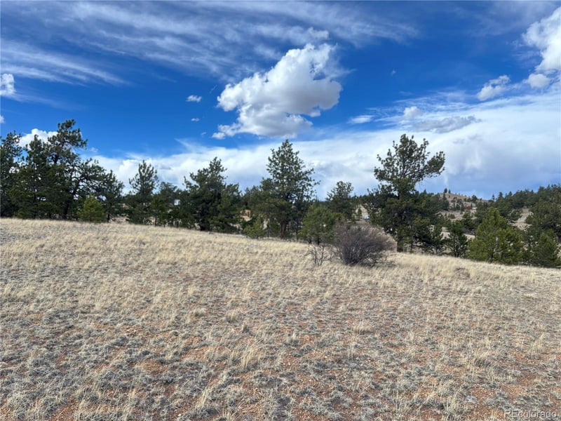 Hiawatha Cir, Hartsel, CO 80449