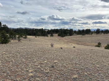 Hiawatha Cir, Hartsel, CO 80449