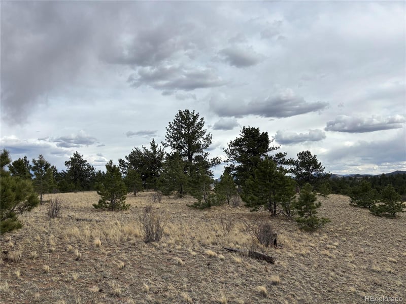 Hiawatha Cir Lot 5935, Hartsel, CO 80449