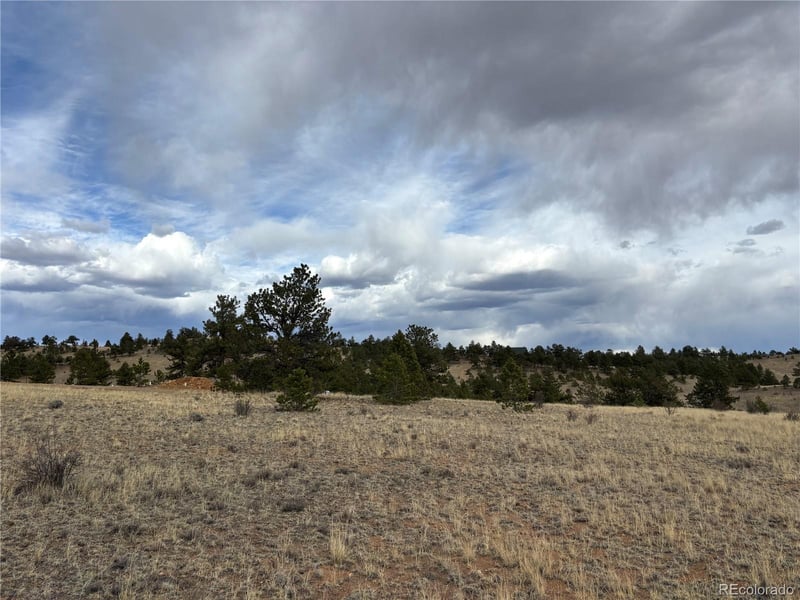 Hiawatha Cir Lot 5935, Hartsel, CO 80449