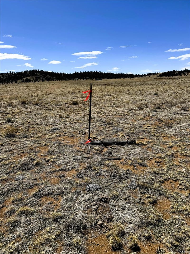 Lot 52 Gila Way, Hartsel, CO 80449