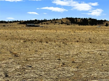 Lot 52 Gila Way, Hartsel, CO 80449