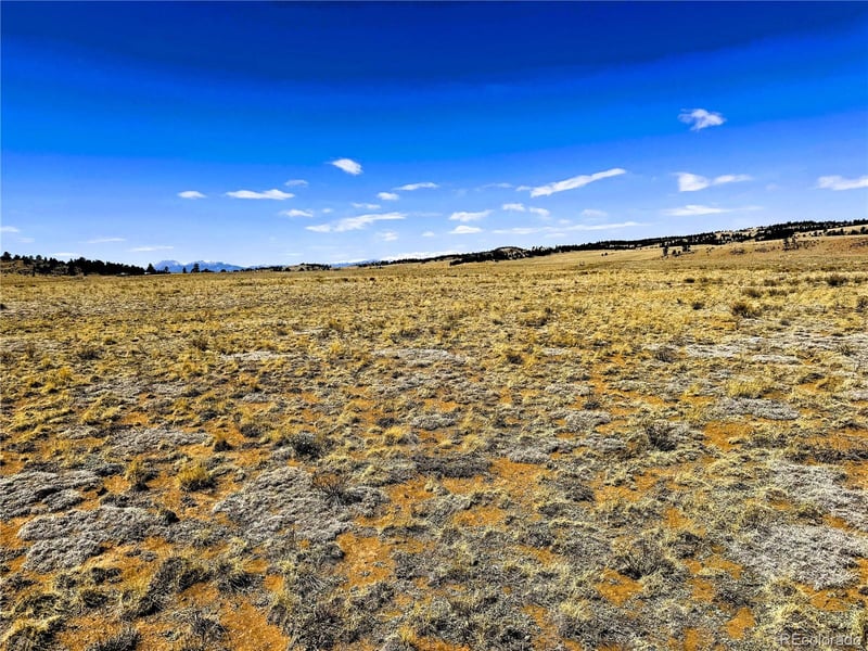 Lot 52 Gila Way, Hartsel, CO 80449