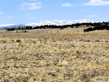 Lot 52 Gila Way, Hartsel, CO 80449