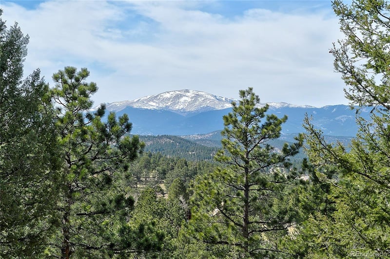 434 Random Rd, Bailey, CO 80421